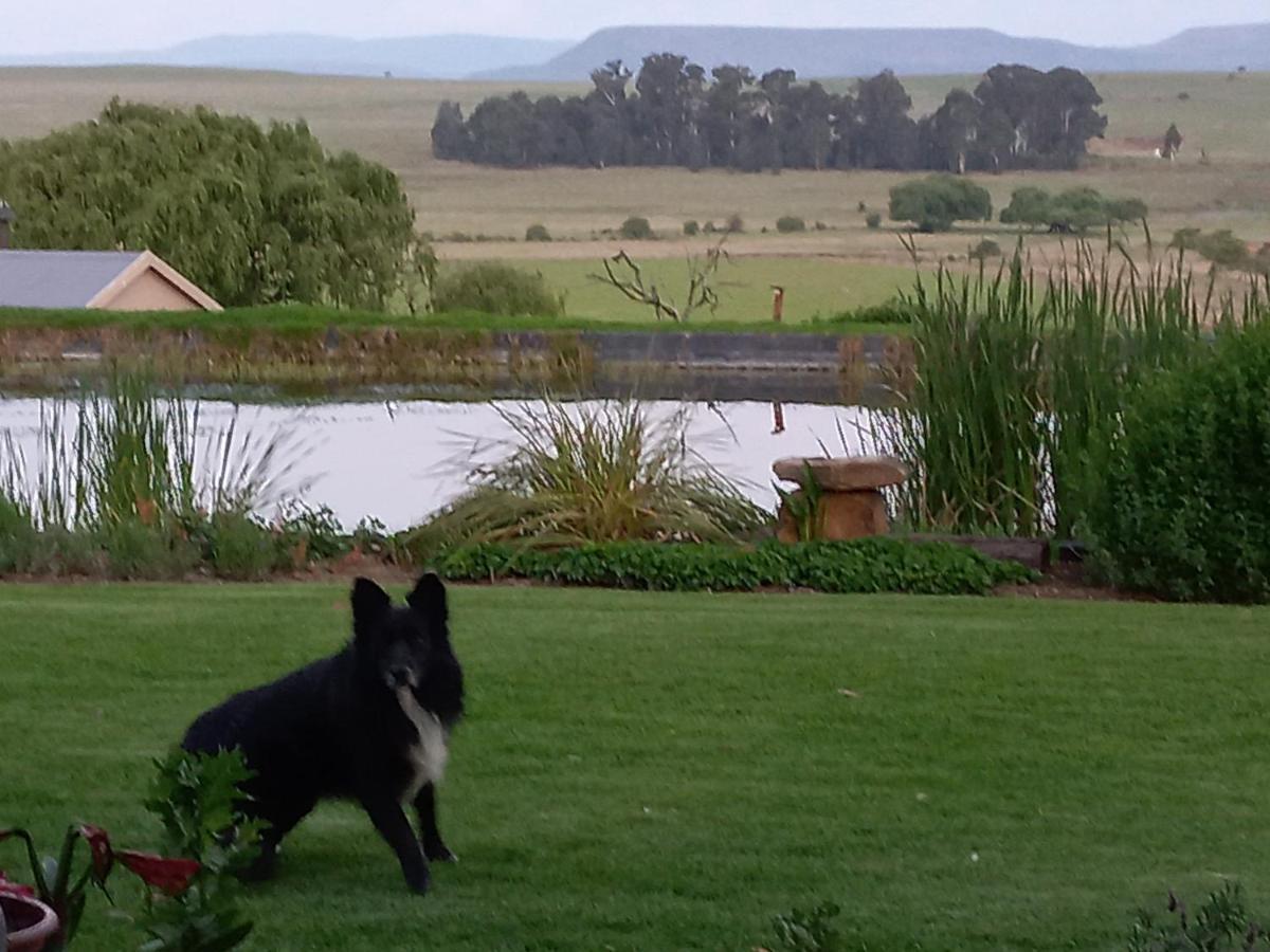 Forellenhof Guest Farm Wakkerstroom Dış mekan fotoğraf