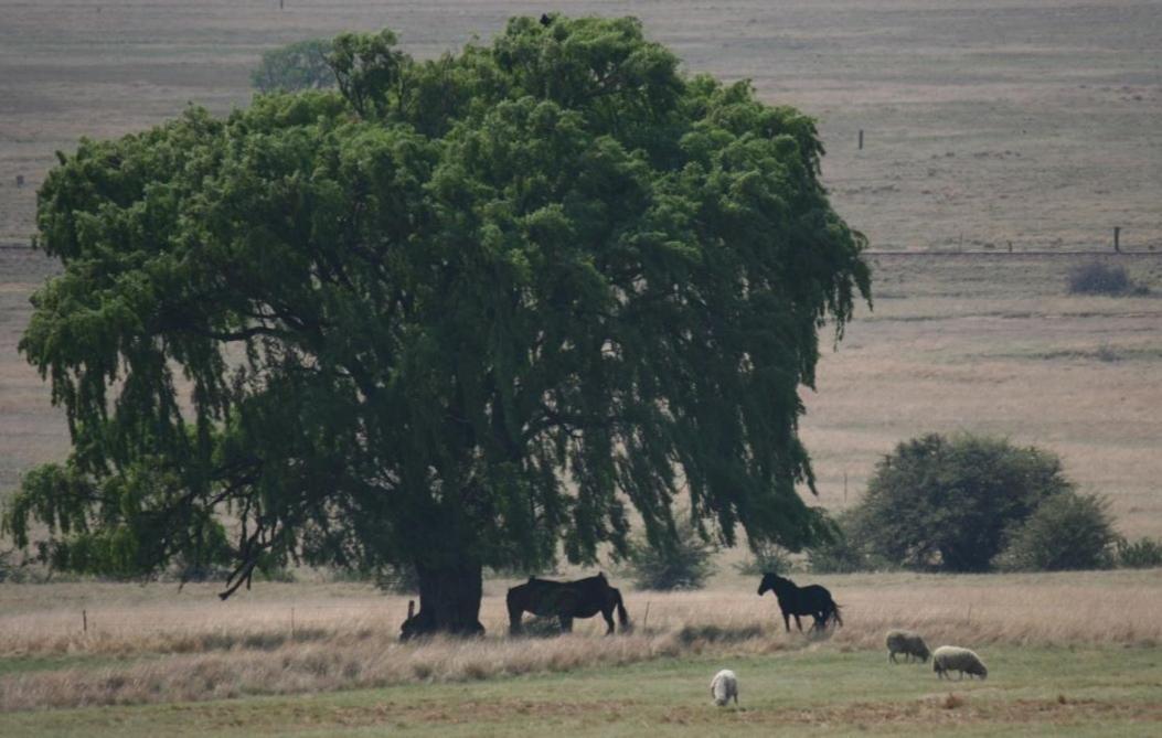 Forellenhof Guest Farm Wakkerstroom Dış mekan fotoğraf