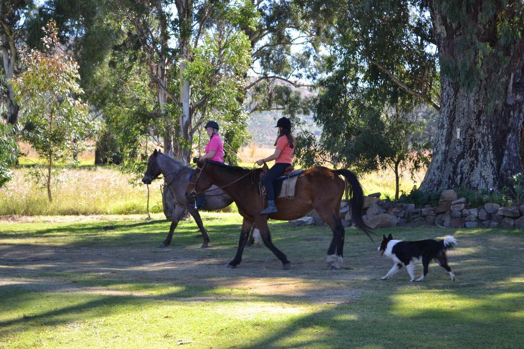 Forellenhof Guest Farm Wakkerstroom Dış mekan fotoğraf