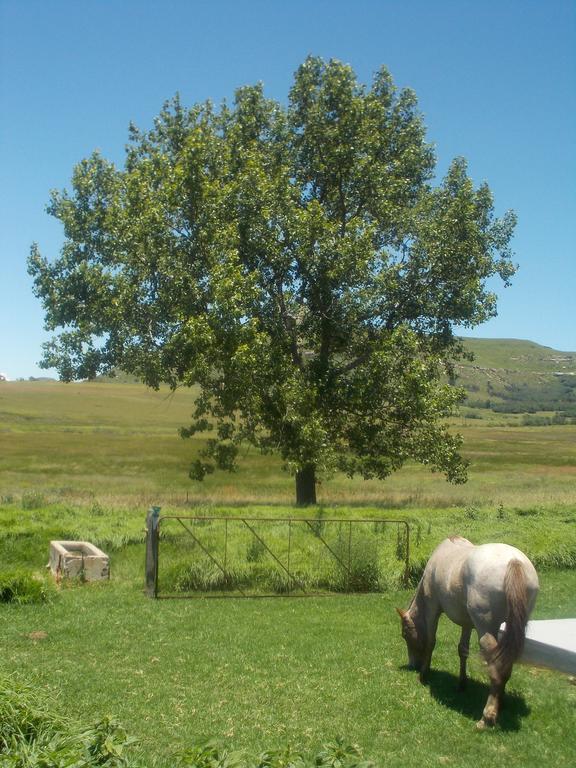 Forellenhof Guest Farm Wakkerstroom Dış mekan fotoğraf